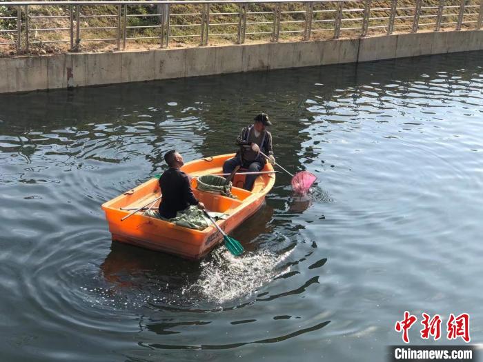 村民正在谷饶溪清理河中漂浮物 阮煜琳 摄
